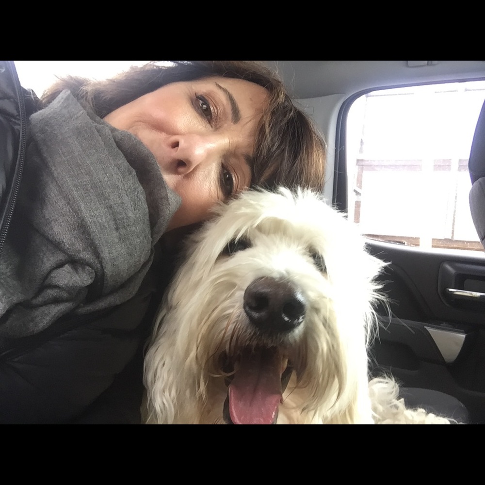 Meet your Posher, Gina
